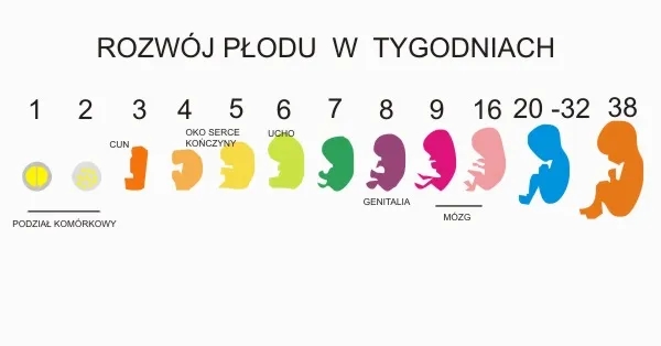 Poród a rozwój dziecka: jak wpływa na zdrowie i emocje malucha?